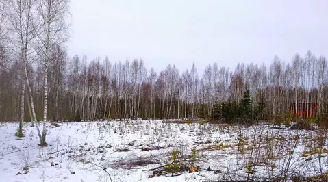 Участок в Калужская область, Калуга городской округ, д. Большая ...