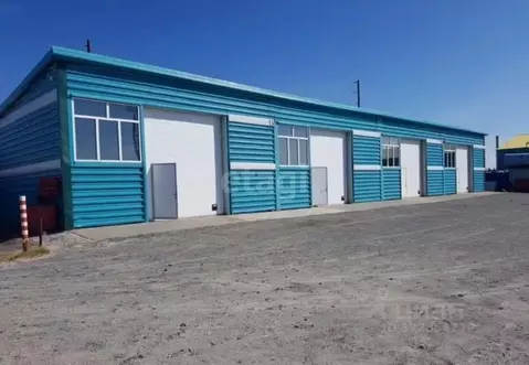 Склад в Ямало-Ненецкий АО, Пуровский район, Уренгой пгт, 4-й мкр 1 ...