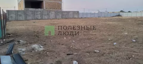 Участок в Крым, Сакский район, Штормовское с/пос, Садовник-2007 СНТ ...