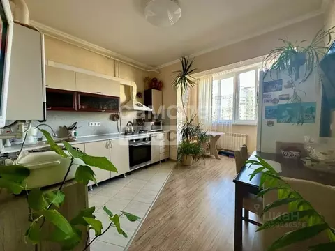 1-к кв. Краснодарский край, Анапа Алексеевка мкр, ул. Лазурная, 16 ...
