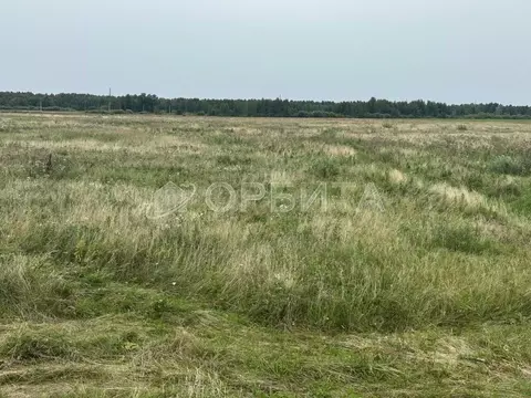 Участок в Тюменская область, Тюменский муниципальный округ, д. ...