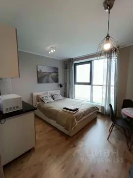 1-к кв. Санкт-Петербург пос. Парголово, проезд Толубеевский, 8к2 (26.0 ...