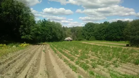 Участок в Псковская область, Плюсский муниципальный округ, д. ...