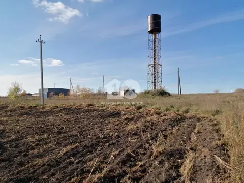 Участок в Новосибирская область, Ордынский район, с. Рогалево Школьная ...