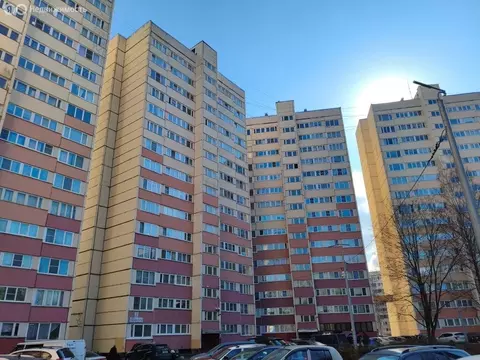 2-комнатная квартира: Санкт-Петербург, улица Пионерстроя, 7к2 (44 м)