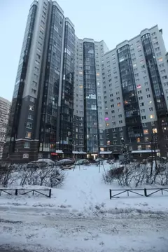 1-к кв. Санкт-Петербург ул. Русановская, 17к1 (47.1 м)