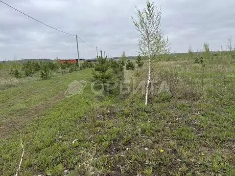 Участок в Тюменская область, Тюменский муниципальный округ, с. Кулига, ...
