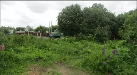 Участок в Московская область, Рузский муниципальный округ, д. Волково ...