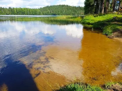 Участок в Карелия, Лахденпохский муниципальный округ, пос. Сикопохья  ...