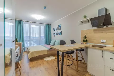 Студия Санкт-Петербург пос. Парголово, проезд Толубеевский, 8к2 (25.0 ...