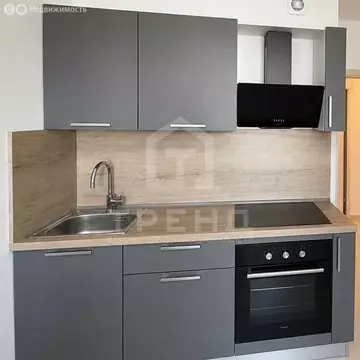 Квартира-студия: Санкт-Петербург, проспект Ветеранов, 185к3 (23.8 м)