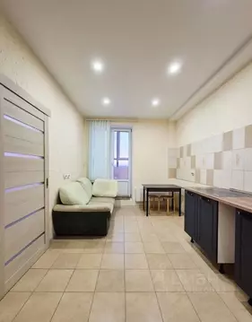 1-к кв. Санкт-Петербург просп. Наставников, 36к2 (48.5 м)