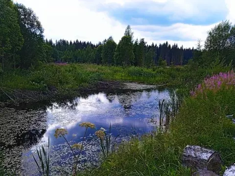 Участок в Карелия, Лахденпохский муниципальный округ, пос. Оппола  ...