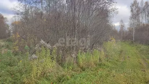Участок в Псковская область, Псковский район, Логозовская волость, ...