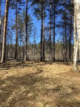 Участок в Ленинградская область, Выборгский район, Первомайское с/пос, ...