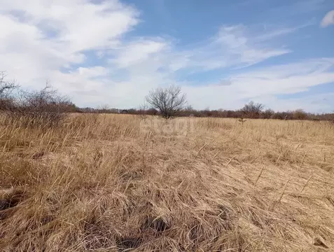 Участок в Курская область, Курский район, Ноздрачевский сельсовет, ...