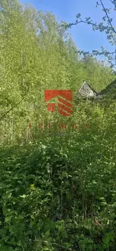 Участок в Пермский край, Краснокамский муниципальный округ, Сюзьва СНТ ...