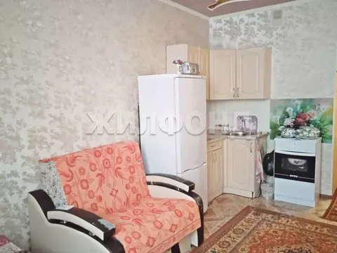 1-к кв. Новосибирская область, Новосибирск Первомайская ул., 226 (27.4 ...