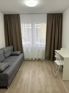 Студия Санкт-Петербург ул. Пахомовская, 10к3 (21.0 м)