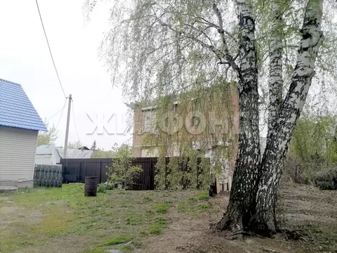 Дом в Новосибирская область, Новосибирский район, Мичуринский ...