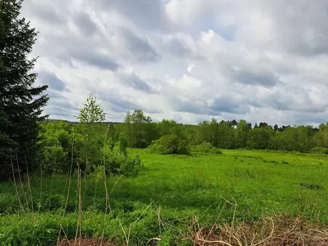Участок в Московская область, Можайский муниципальный округ, д. ...