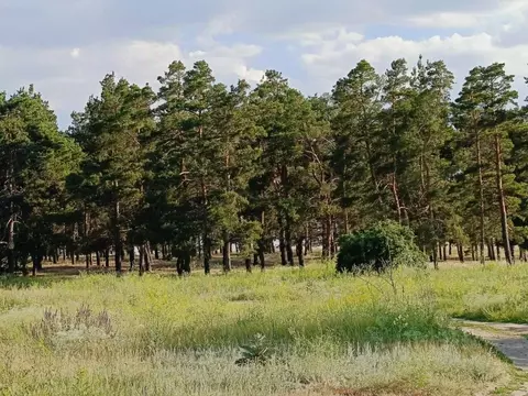Участок в Волгоградская область, Волгоград ул. Джамбула Джабаева (5.0 ...
