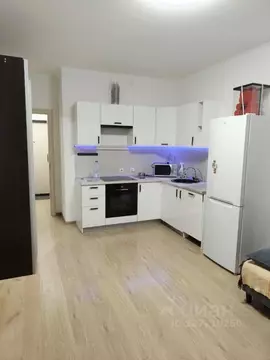 Студия Санкт-Петербург аллея Арцеуловская, 23к1 (25.0 м)