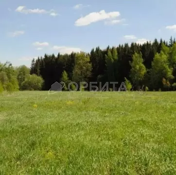 Участок в Тюменская область, Тюменский муниципальный округ, с. ...