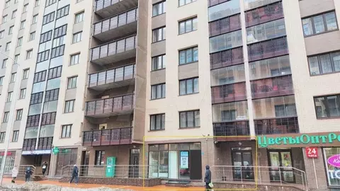 Торговая площадь в Ленинградская область, Мурино Всеволожский район, ...