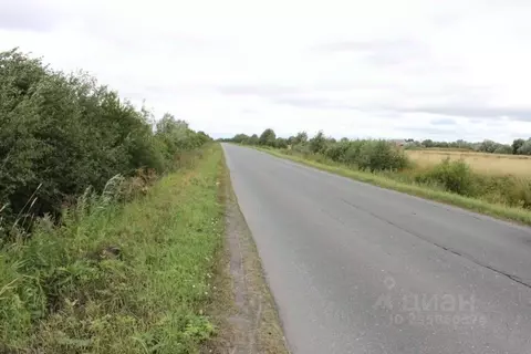 Участок в Архангельская область, Приморский муниципальный округ, д. ...