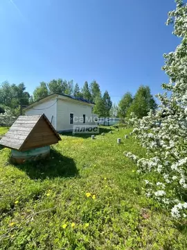 Участок в Московская область, Солнечногорск городской округ, Мошницы ...