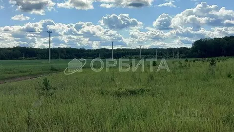 Участок в Тюменская область, Тюменский район, с. Каменка  (8.82 сот.)