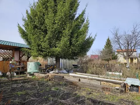 Дом в Челябинская область, Сосновский муниципальный округ, ...