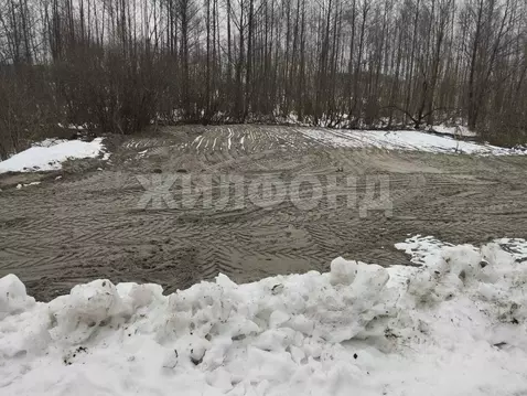 Участок в Брянская область, Брянск  (6.0 сот.)