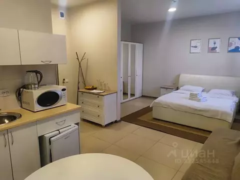 Студия Ставропольский край, Ессентуки Пятигорская ул., 104А (25.0 м)