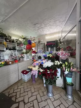 Торговая площадь в Белгородская область, Белгородский район, Дубовское ...