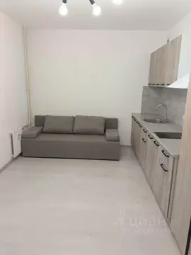 Студия Санкт-Петербург Усть-Славянка тер., ул. Славянская, 8 (27.0 м)