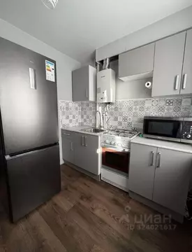 1-к кв. Самарская область, Самара Партизанская ул., 185 (31.0 м)