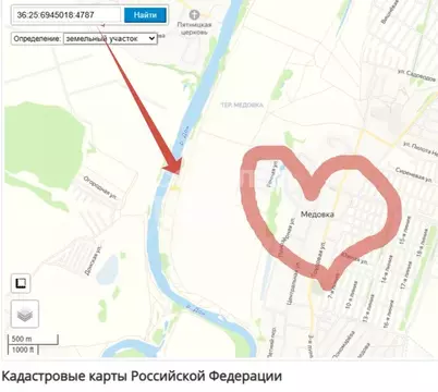 Участок в Воронежская область, Рамонский район, с. Новоживотинное  ...