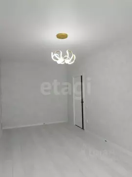 1-к кв. Ставропольский край, Ставрополь Пригородная ул., 251Ак2 (43.0 ...