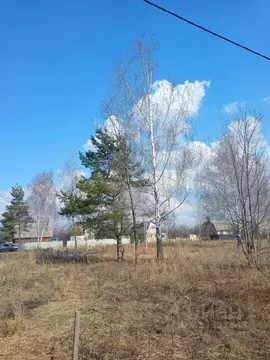 Участок в Воронежская область, Рамонский район, Айдаровское с/пос, ...