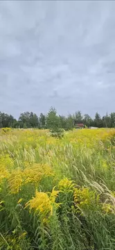 Участок в Брянская область, Брянский район, Мичуринское с/пос, д. ...