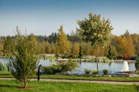 Участок в Ленинградская область, Выборгский район, Первомайское с/пос, ...