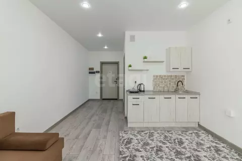 Студия Тюменская область, Тюмень ул. Павла Никольского, 14 (28.0 м)