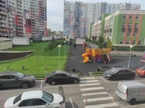 Студия Санкт-Петербург просп. Энергетиков, 9к6 (24.9 м)