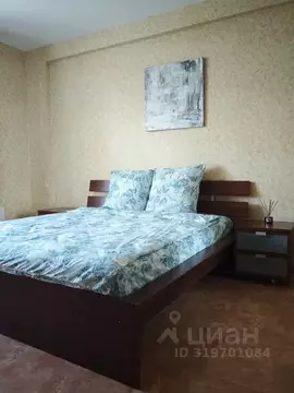 2-к кв. Нижегородская область, Кстово бул. Нефтепереработчиков, 11А ...