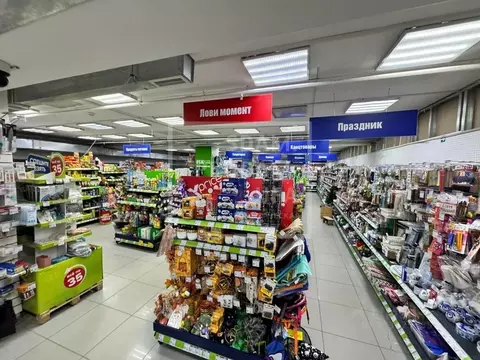 Торговая площадь в Башкортостан, Уфа ул. Маршала Жукова, 5/2 (350 м)