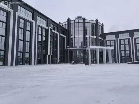 Помещение свободного назначения (30.18 м)