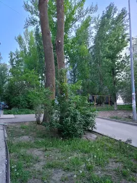 1-к кв. Волгоградская область, Волгоград ул. имени Хорошева, 46 (38.0 ...