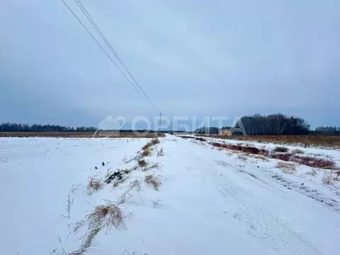 Участок в Тюменская область, Нижнетавдинский муниципальный округ, ...